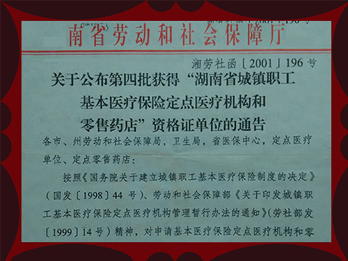 湖南省劳动和社会保障厅文件